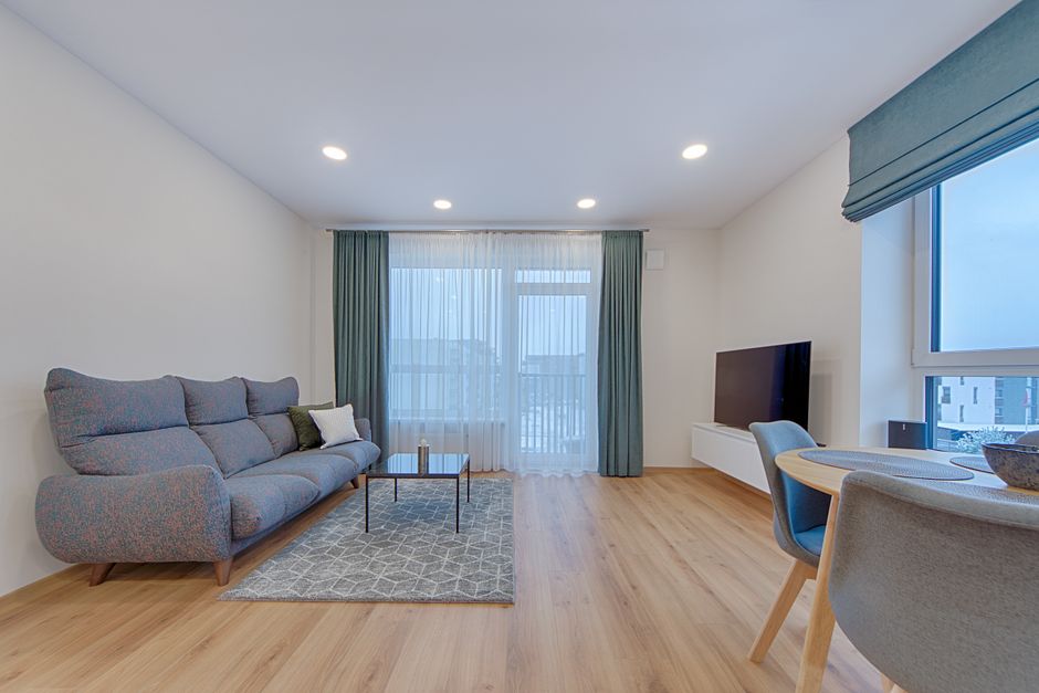 Cozy modern living room with a stylish sofa and elegant decor in Lithuania.